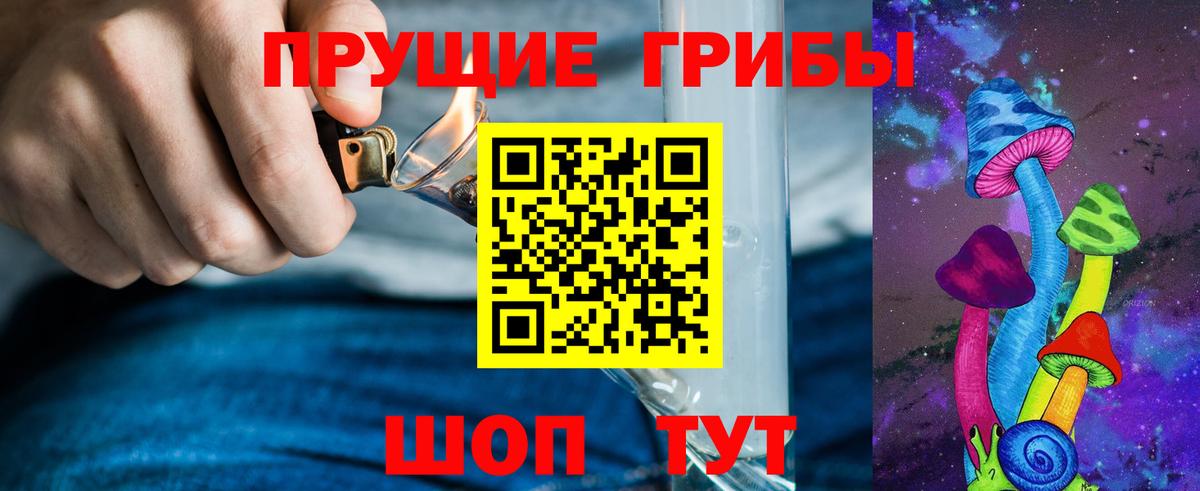 Лесозаводск  Галлюциногенные грибы прущие грибы  Вход с VPN 